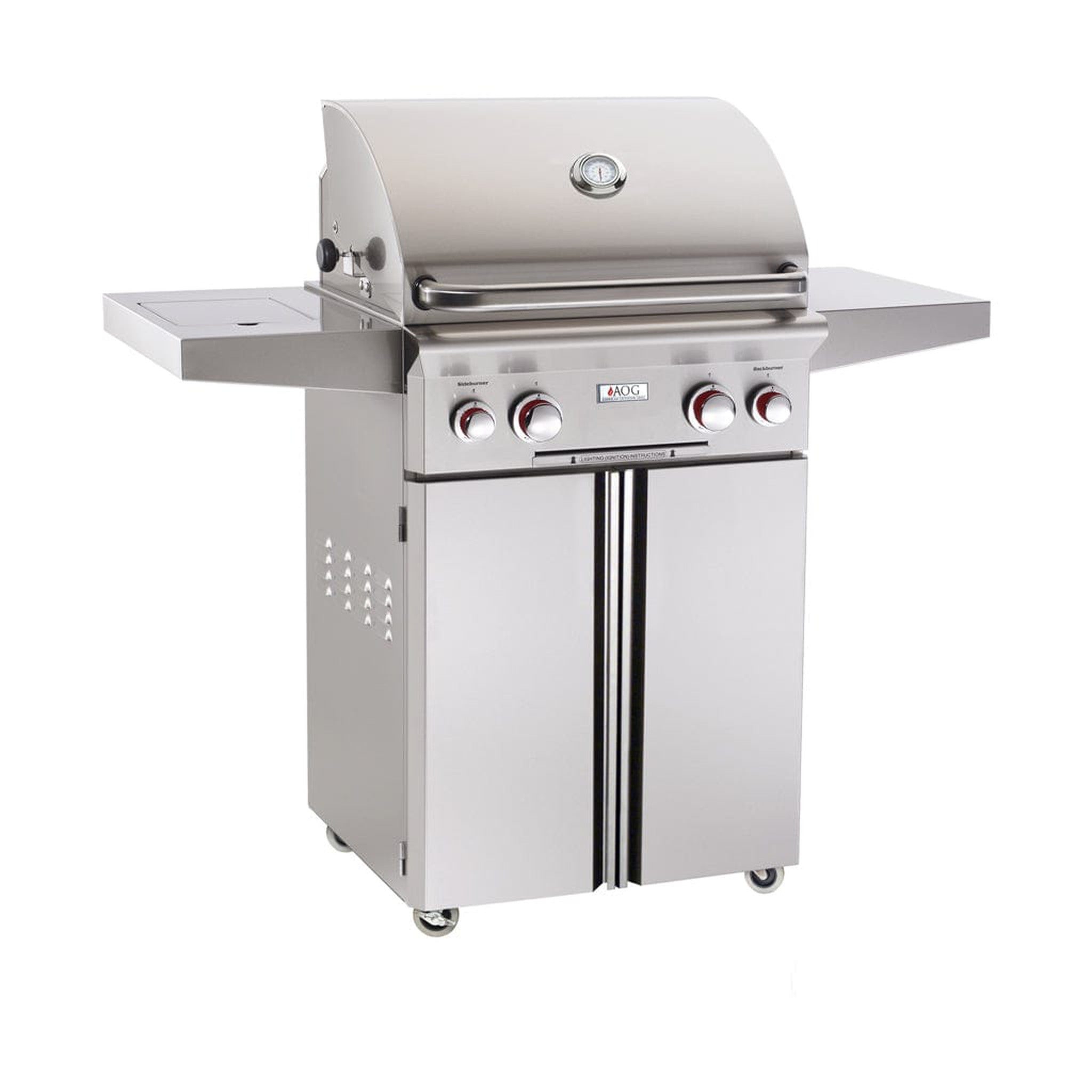 Portable Dual Burner Gas Grill