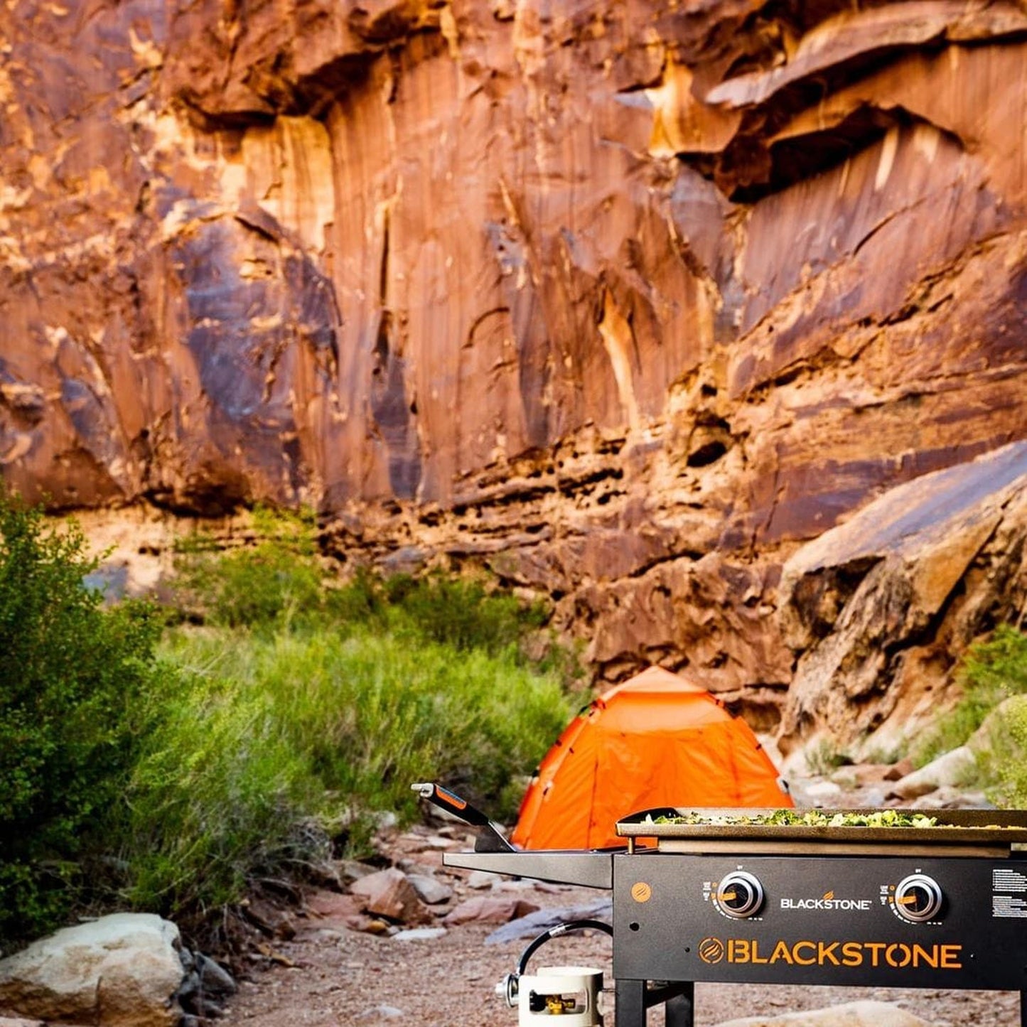 Blackstone 28" 2-Burner Propane Gas Griddle Cooking Station with Hard Cover