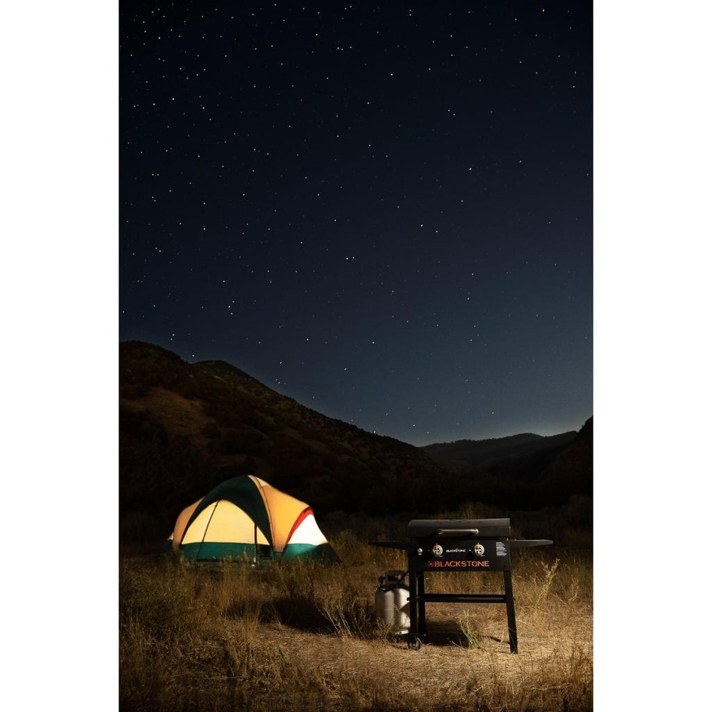 Blackstone 28" 2-Burner Propane Gas Griddle Cooking Station with Hood