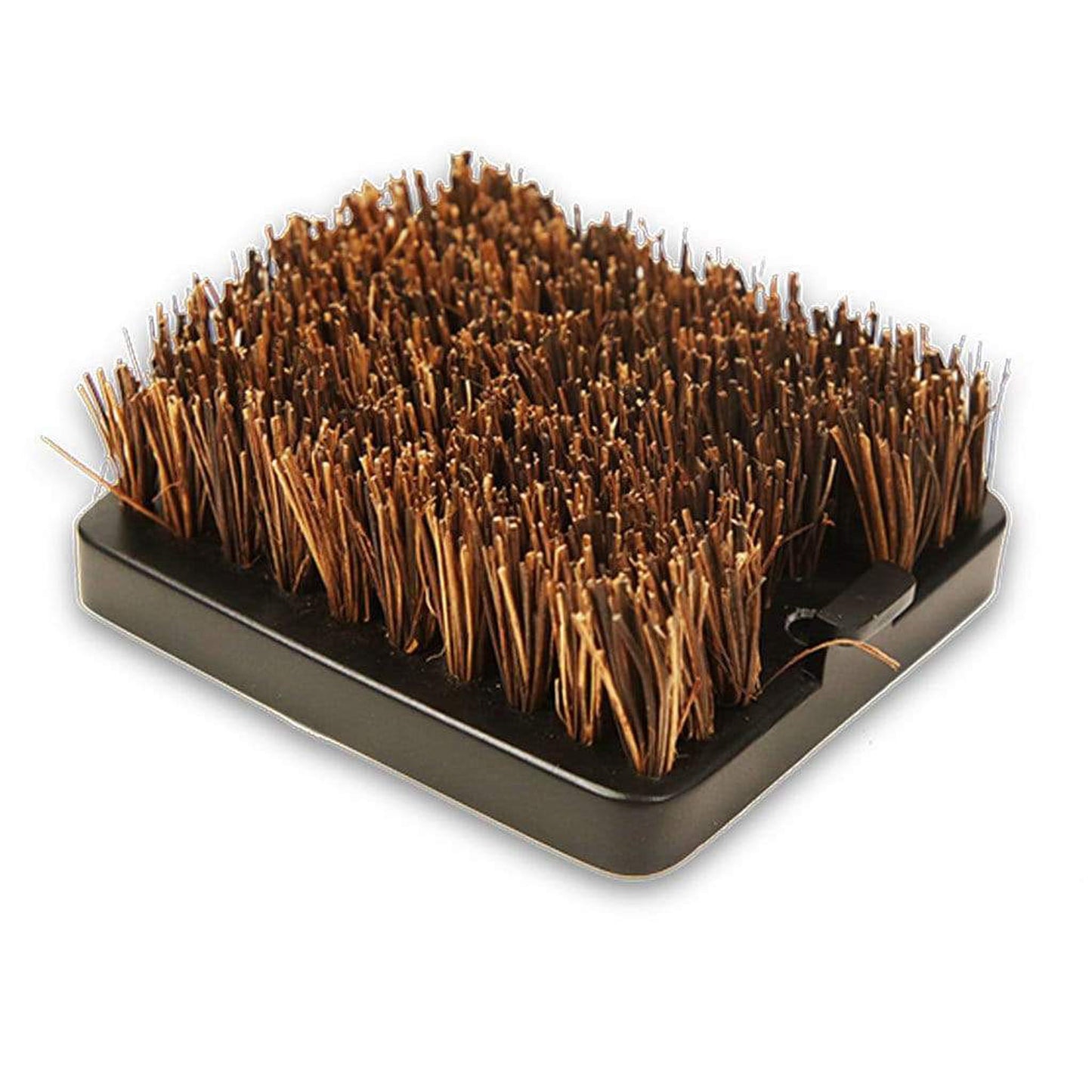 Louisiana Grills 50011 Palmyra Brush Replacement Brush Head