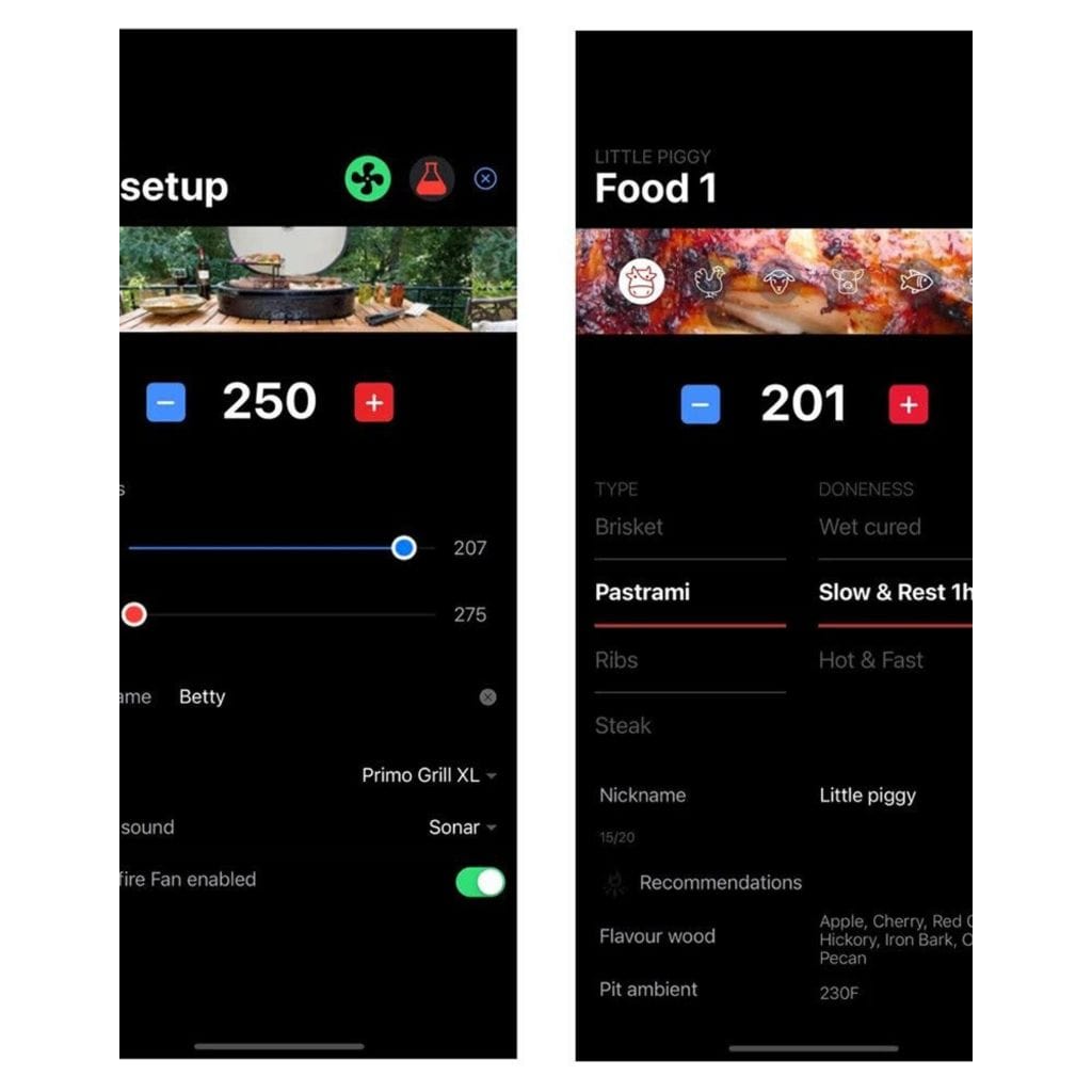 Primo Grill Controller