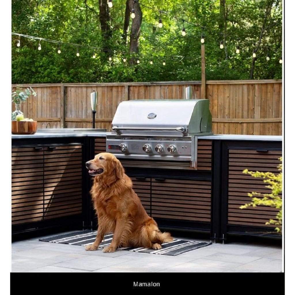 Renaissance Cutlass Pro Series 30" 4-Burner Drop-in Liquid Propane Gas Grill