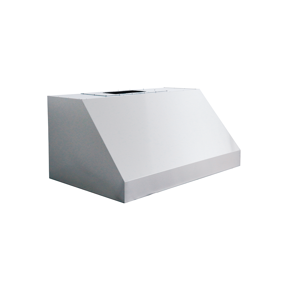 Renaissance Outdoor 48" Stainless Steel Vent Hood with 1200 CFM Blowers