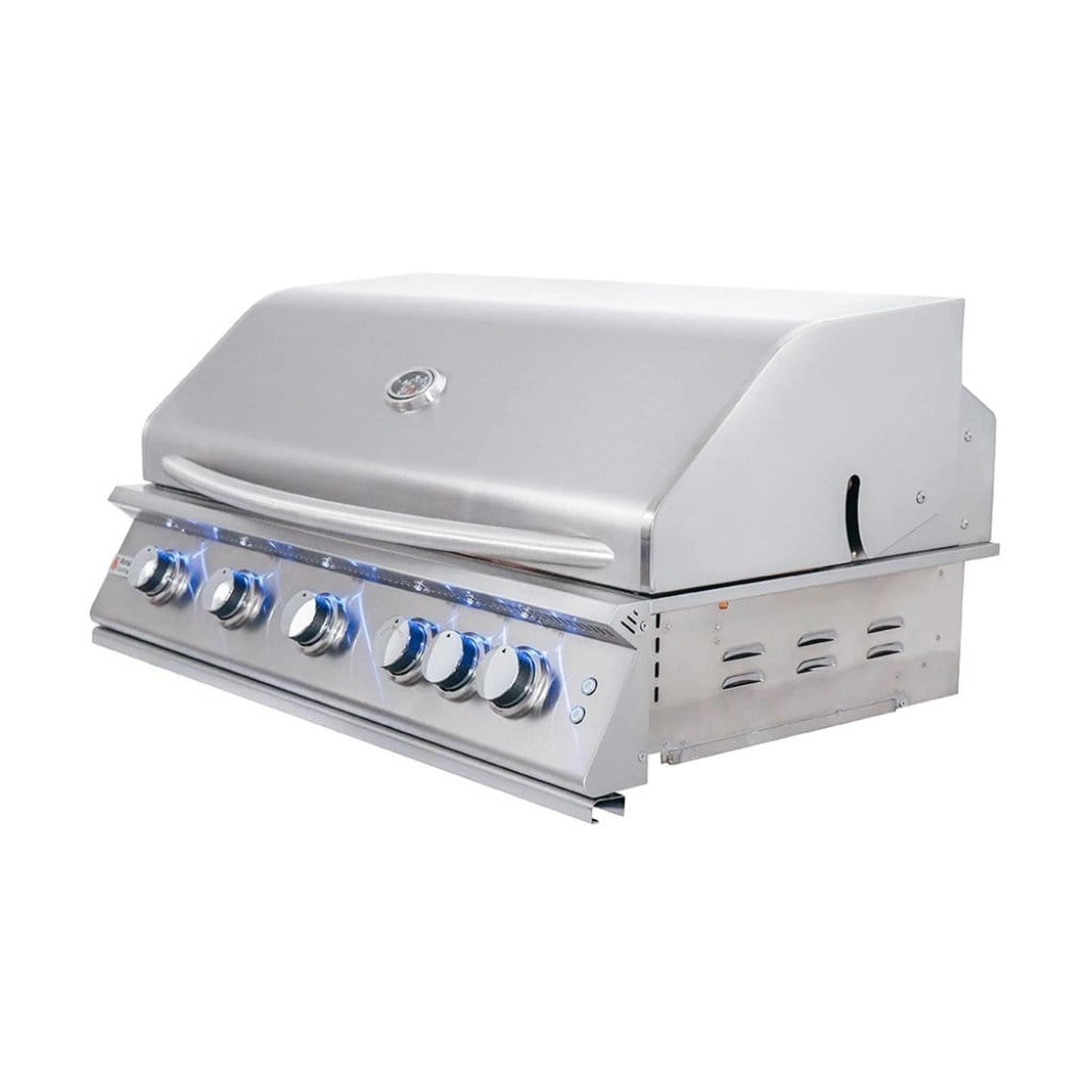 Renaissance Premier L Series 40" 6-Burner Built-In Natural Gas Grill With LED Lights