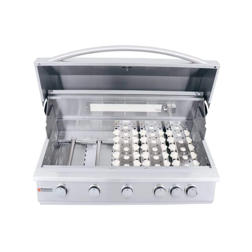 Renaissance Premier Series 40" 6-Burner Built-In Liquid Propane Gas Grill