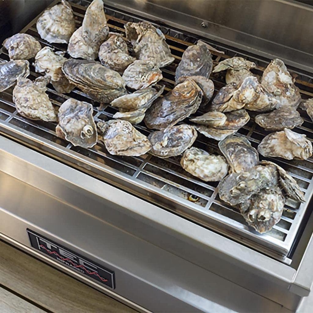 TEC Grills Infrared Smoker/Roaster For G-Sport FR Grill