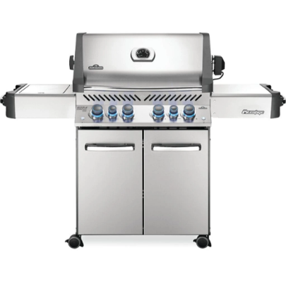 How to Choose The Best Propane Gas Grills for 2025?