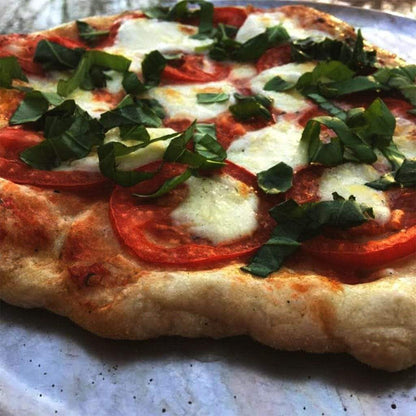 Chicago Brick Oven CBO-750 38" x 28" Hybrid Wood/Propane Gas Countertop Pizza Oven With Sliver Vein Hood & Skirt (Residential)