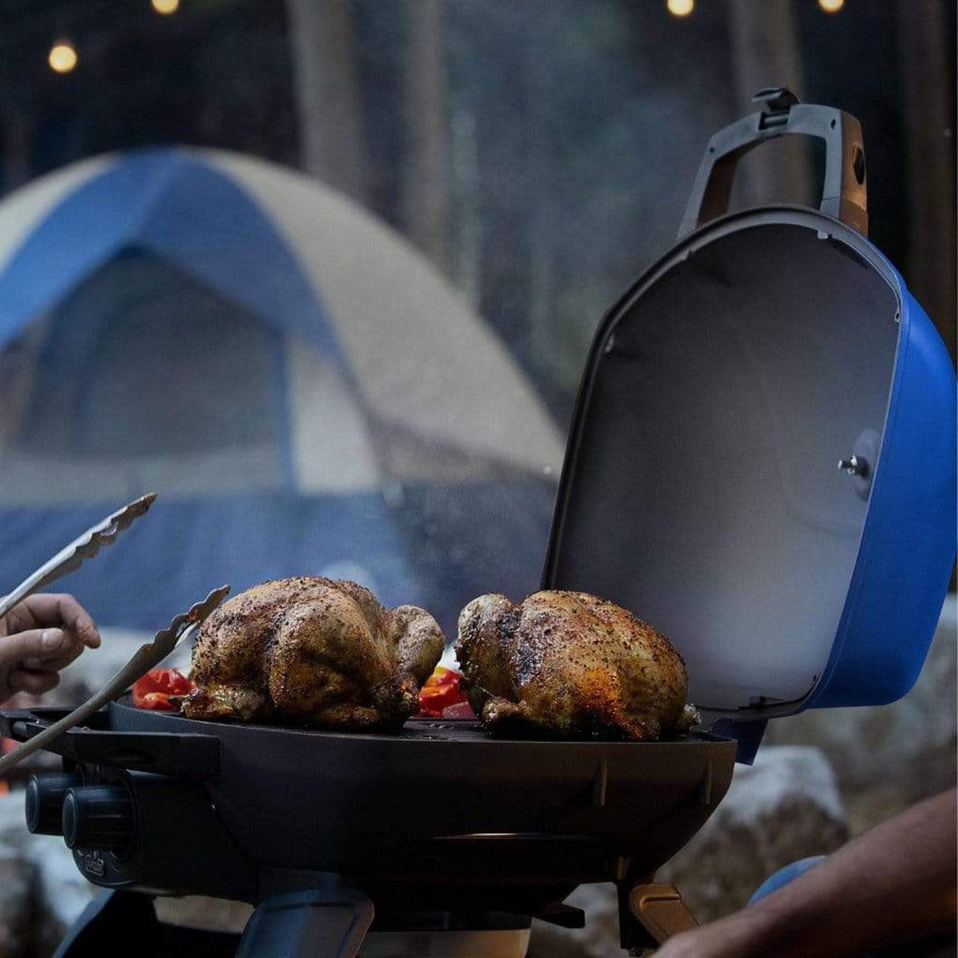 napoleon camping grill Napoleon 12000 BTU 24 Inch Wide Liquid Propane Free Standing Grill