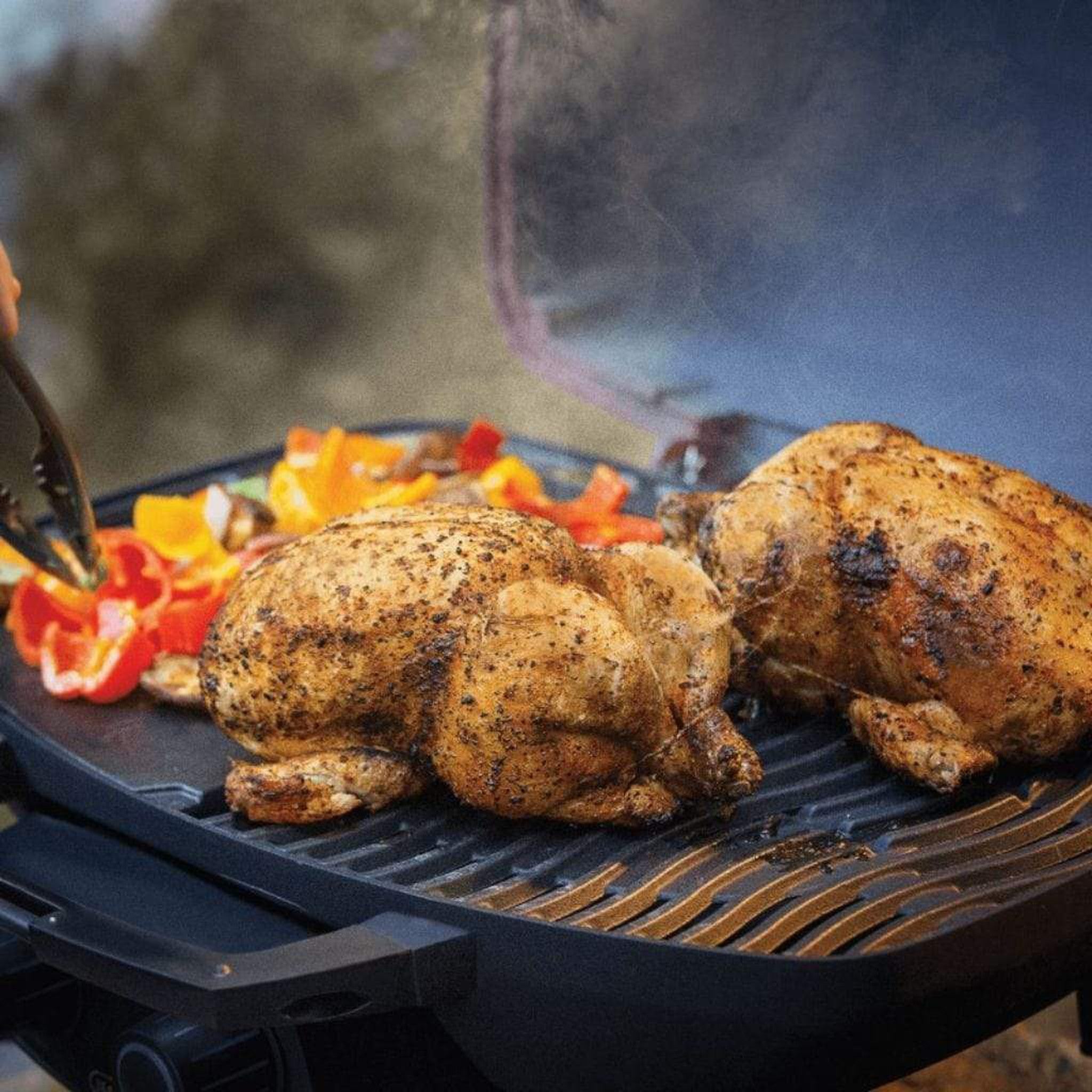 Travel top propane grill