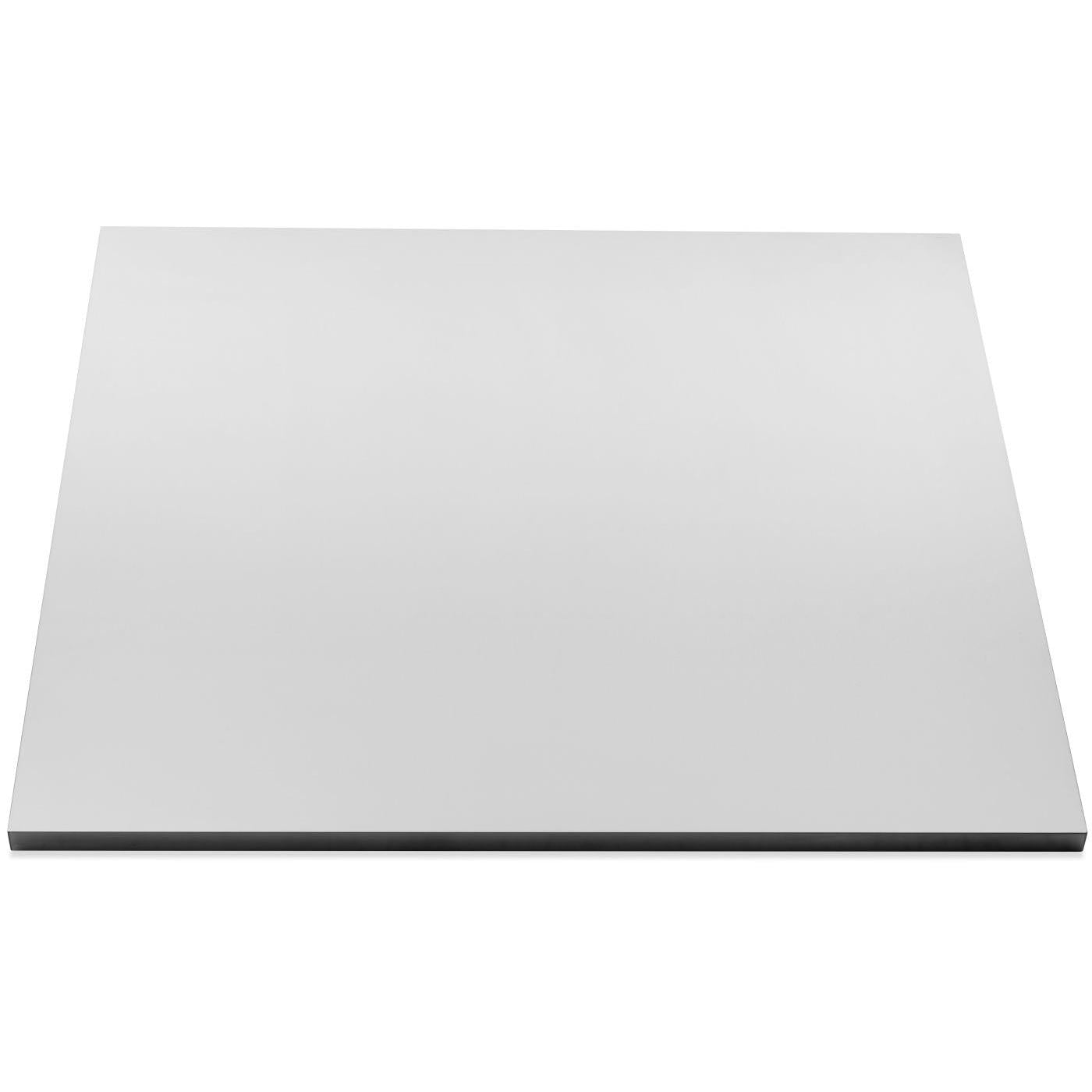 Napoleon OASIS 24" x 26" Stainless Steel End Countertop