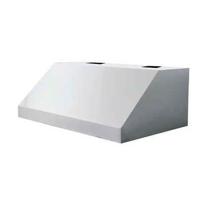 Renaissance Cooking Systems 48" Outdoor Stainless Steel Vent Hood With 2000 CFM Dual Blowers