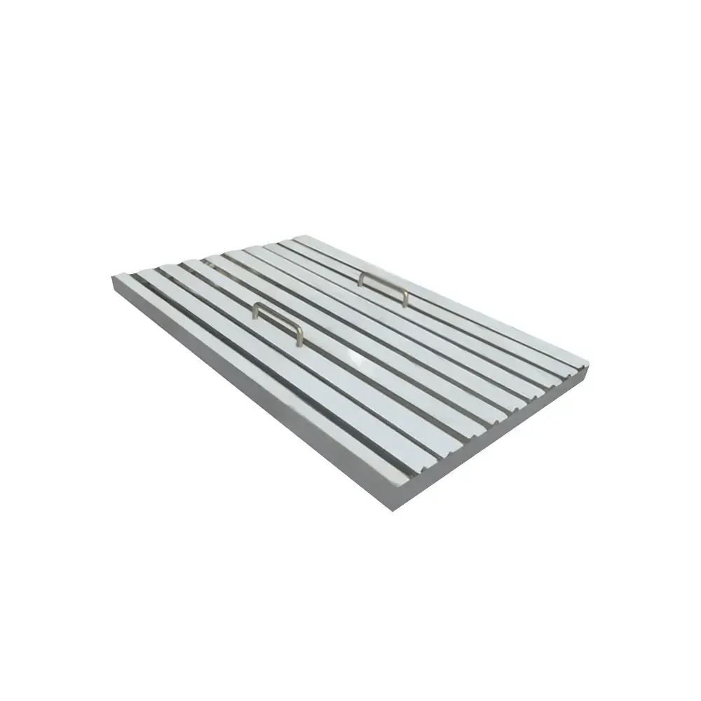 Renaissance Cooking Systems 48" Outdoor Stainless Steel Vent Hood With 2000 CFM Dual Blowers
