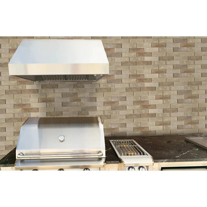 Renaissance Cooking Systems 48" Outdoor Stainless Steel Vent Hood With 2000 CFM Dual Blowers