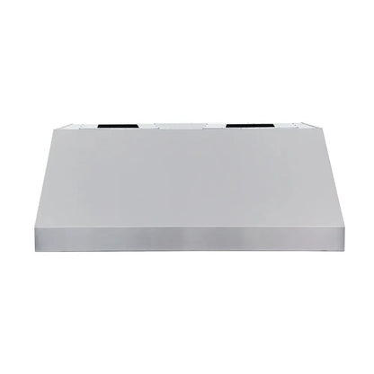Renaissance Cooking Systems 48" Outdoor Stainless Steel Vent Hood With 2000 CFM Dual Blowers