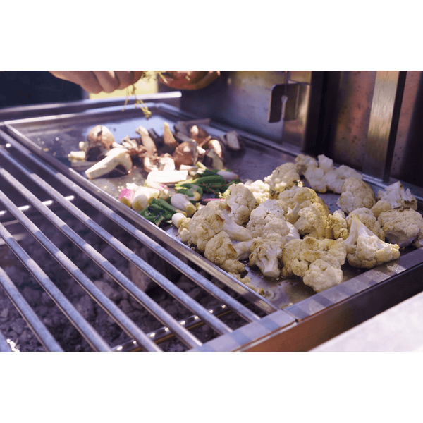 Tagwood BBQ BBQ58SS Interchangeable Griddle